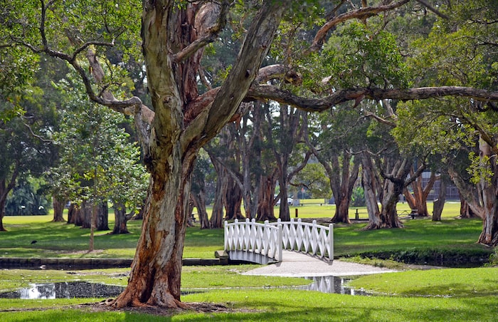 5 Weekend Picnic Spots for Eastern Suburb Locals to Enjoy