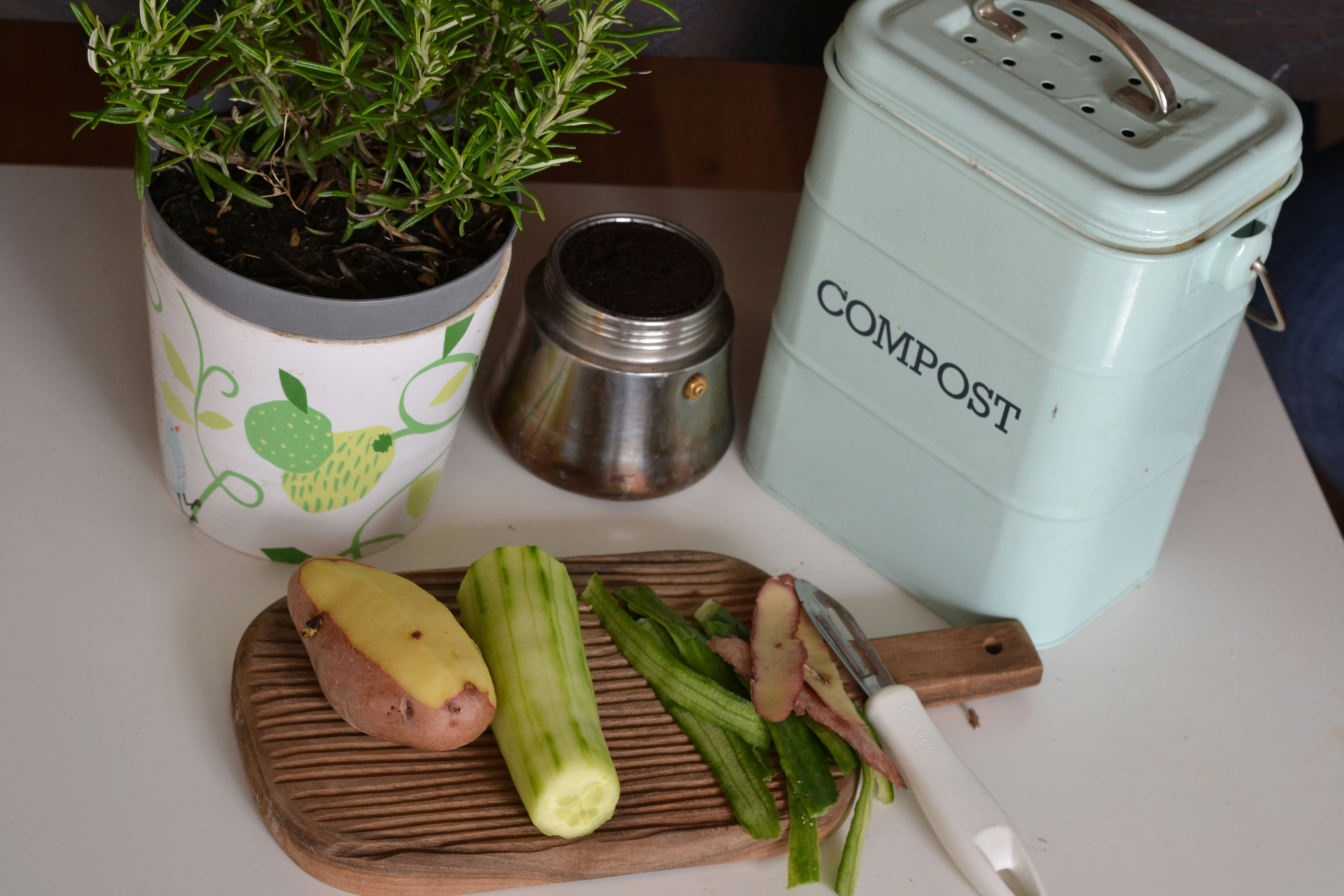 Tips for Starting Your Composting System